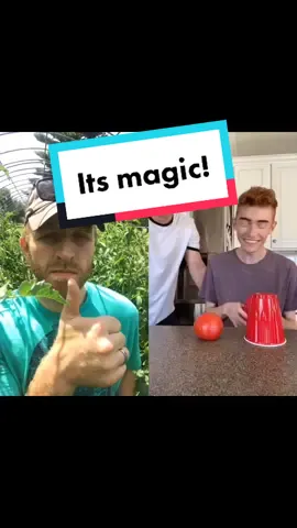 This made me laugh! #duet with @user505429517019 #tomato #gardening