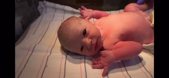 aww baby z🥺🥺 @thesupercole #newbaby #justborn #heshere #labrantfamily #thelabrantfam #youtube #tiktok #xy #xyzba #fy #fyppage