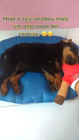 😢😢😢☹️☹️😭😭