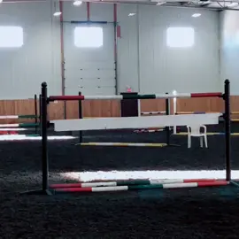 Granit S🥺#Caribana #HomeCourtDunkoff #CloudBread #SummerDIY #equestrian #showjump #hunterjumper