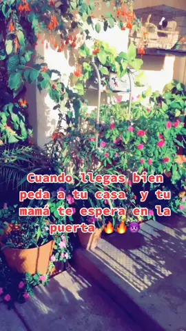 #cuandollegasbienpeda #seabrieronlaspuertasdelinfierno #foryou #fyp #parati #viral