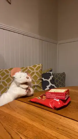 #kidsprayer is powerful #Fidgetthechurchmouse #folkmanispuppets #mousepuppet #prayinJesusname