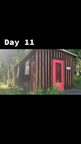 Day 11! #renovations #cabin #alaska #fyp #foryou #foryoupage #paint #todaysywarsold #yay #SummerDIY