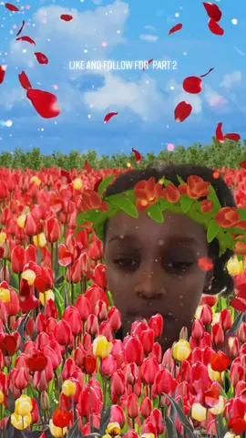 #unicornhead #sketchybongomaskchallenge #catchthesplash