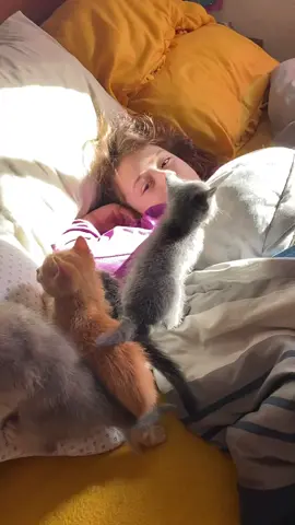 Pasaron de ser abandonados a ser los más regalones del mundo mi @luti.vondhul los cuida con su vida. #parati #viral #destacame #paratiktok #foryou