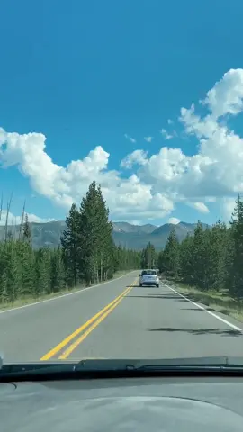 Enjoy a buggy view of the drive back to Jackson Hole from Yellowstone #wyomingtok