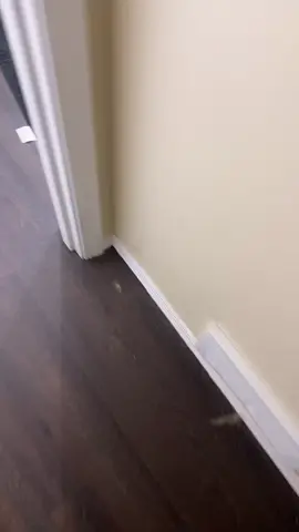 Viral