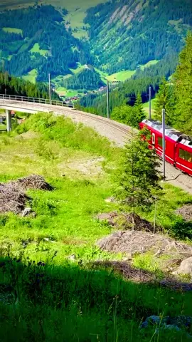 Who would like to take this train 🚂 #amirasani #fyp #switzerland #tiktokswitzerland