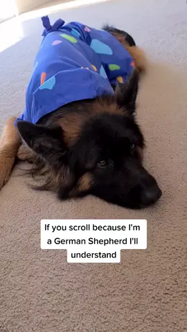 oh wait... you're still here? 🥺