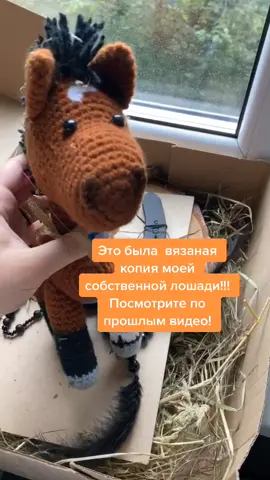 Это вязаная версия моей реальной лошади! ААААА, я так давно ее хотела 😍 #лошадь #кони #рукоделие #вязание