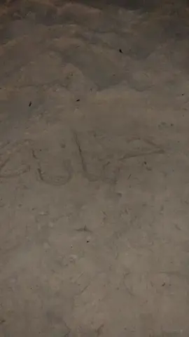 #شاطئ نصف القمر هافمون💞