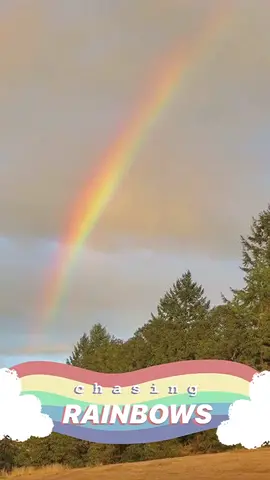 #ig #insta #instagram #instastory #instagramstories #fyp #rainbow #instastoryinspo #LearnOnTikTok #tiktokpartner #igstories