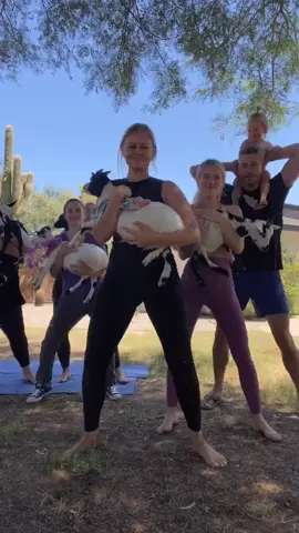 goat yoga tiiings @mccallryan @laurenluyendyk @azgoatyoga 🐐🐐🐐