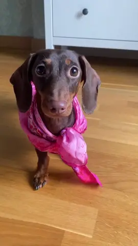 Отправляй видео всем, кого любишь❤️ Inst: chapi_tosya #чапитося