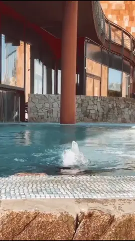 Sorpresa 😂💦 #Summer #pool #boy