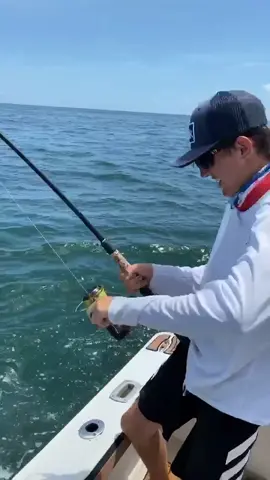 Worked em up off the wreck! 🔥🎣 #fishing #Florida #fyp #foryou #fishcontent #viral #viralvideo #CanYouWorkIt
