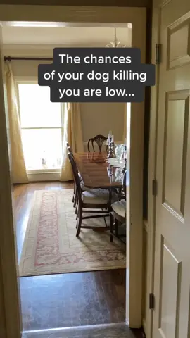 The chances of your dog killing you are low... #butneverzero #thechancesarelowbutneverzero #doge #doog #chancesarelow