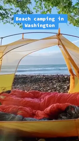 #beachcamp #beach #camping #beachvibes #tentview #vacationmode #washington #travel #fyp #foryoupage