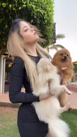Alguien mas está traumado con Tiktok? 😂Cada like es para que no borren la app🥺