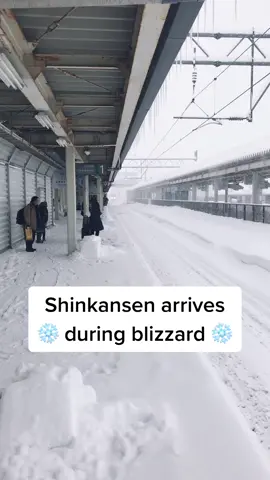 🚄❄️ #Yamagata #blizzard #snowstorm #japan #япония #bullettrain #shinkansen #train #onlyinjapan #snow #tiktokjapan #traveljapan #tiktokviral #日本 #山形県