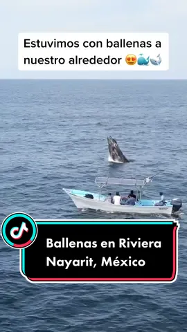 Alguna vez vieron ballenas así? 😍🙏🏻🐳🐋♥️#mexico #rivieranayarit #ballenas #traveltheworld