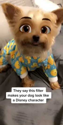 Which Disney character is she? #trend #disney #dogs #dogsoftiktok #fyp #foryou #foryoupage #fypシ
