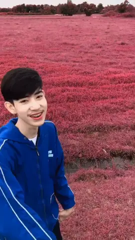 เมาคลีล่าสัตว์🤣