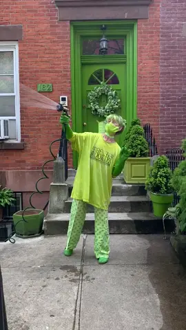#viral #fyp #nyc #GreenLady
