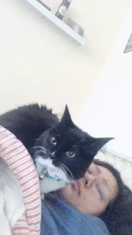 🥺