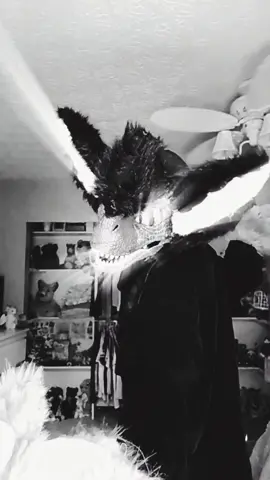 I̶ ̶w̶a̶n̶t̶ ̶i̶t̶ ̶a̶l̶l̶ (I posted the og on my page but its to good to not post here!) @kazoo_the_floof #furry #fursuit #furryfandom #fyp #moodflip