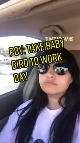 #POV: Take Baby Bird to work day 😂 #hawks#keigotakami#myheroacademia#bnha#fyp#animethings#otaku#weeb#foryoupage#foryou#4u#xyzbca#yagamiyato#yagami