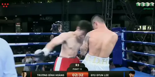 ❤️🇻🇳Tự hào #truongdinhhoang #boxing #xuhuong