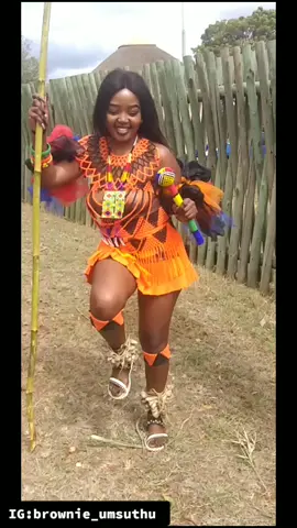 🧡🖤 Royal Reed Dance 2019 #enyokeni