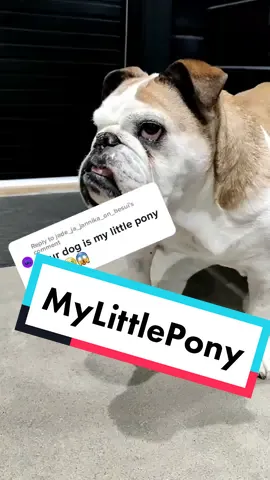 My dog is a My Little Pony! Reply to @jade_ja_jannika_on_besui #mylittlepony #englishbulldog #heart