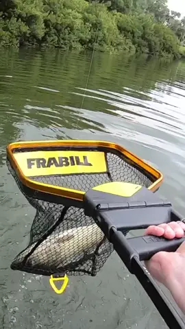 I caught a Karen! #fishing #fish #xyzbca #fyp #foryoupage #fletcherthefisherman