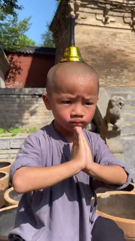 You can’t imagine what a long way a fighter has gone through... #fyp #fypchallenge #kungfu #shaolin #martialarts #hardtraining #stand #busk #balance