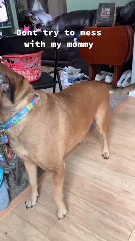 #pitmix# #GotMyMommyBack# #LetMeTalkToYa#