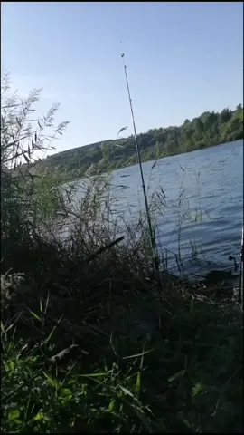 #bigfish #sharethecare #рыбалка #веселыйсfantola #тренды #врекомендации #жаримрыбу #рыбалка2020 #russiatravel #отдыхуводы