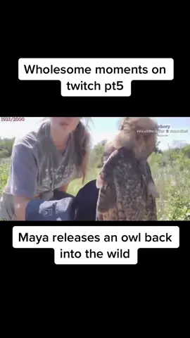 Another one in the books #forupagee #foryoupage #fyyyp #twitchmoments #forupage #twitch #moments #twitchfunnymoments #funnymoments #fyyp #foru #funny
