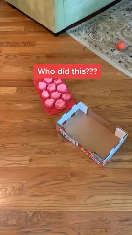 Can you help my found who ate all these peaches? (IG: amy_jdwyer) #foryou