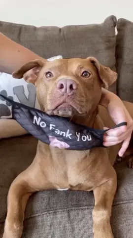 If you know you know #tatumtalks #dogsoftiktok