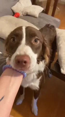 How was yalls day? #SuperlativeSmiles #Teleport #stepintolove #ScienceFair #LittleVoice #fyp #foryou #foryoupage #Vlog #tiktok #Love #viral