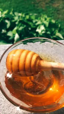 ✨h o n e y✨ like for more honey/honey comb vids. Idea credit to @tiktokbiztips  btw I didn’t waste it #honeycomb #honeyaesthetics