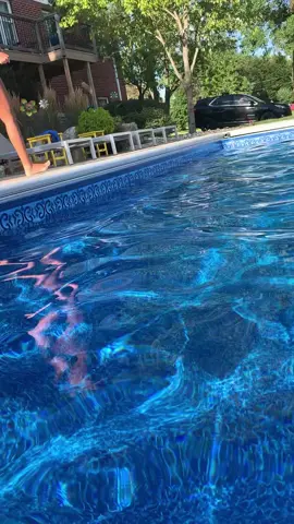 #fyp tutorial of a dive