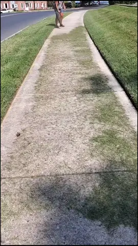 Control is a skill, speed is a thrill! 💯💪💨 #fyp #stihl #satisfying #grasstiktok #girlpower #lawncare #foryoupage #crispandclean