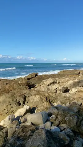 Beach vibes 🌊🌊🌊 #Hawaii #oahu #beach #ocean #waves #scenic #travel #fyp