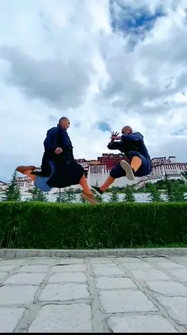 Are they pretty cool? #kungfu #sports #shaolin #shaolinkungfu #fyp #foryoupage #tiktok