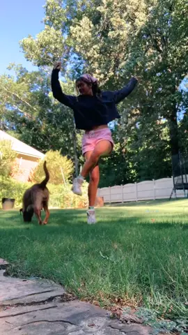 i was distracted by the dog😁😁 (dance creds: @calegoes)