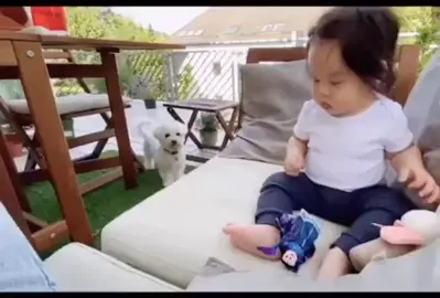 #추천 #반려동물 #추천떠라 #강아지 #댕댕이 #반려견 #귀여운강아지