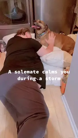 #PitmixDad#. #CalmsYouInAStorm# #PetsAreFamily#